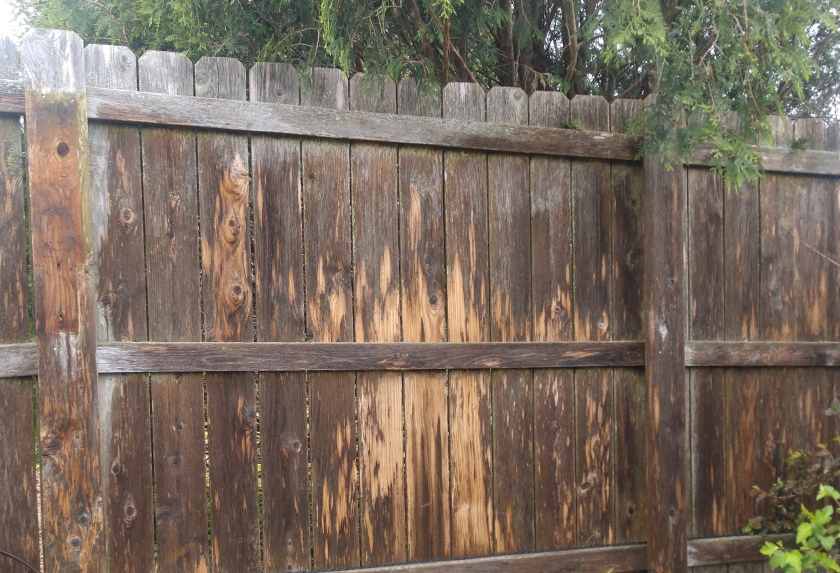 Exterior Cleaning for Homeowner Association Cedar Rapids IA