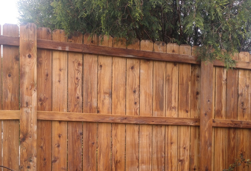 Exterior Cleaning for Homeowner Association Cedar Rapids IA