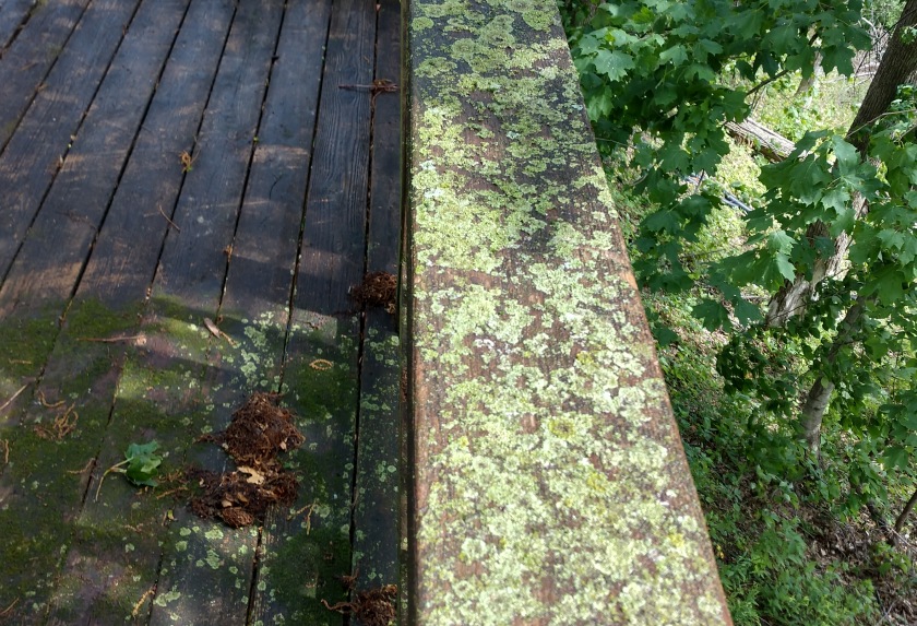Exterior Cleaning for Homeowner Association Cedar Rapids IA